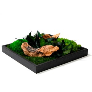Tableau végétaux stabilisés 35x35cm