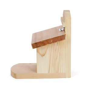 Mangeoire pour écureuils