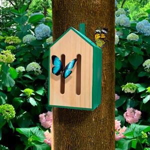Abri à papillons en bois