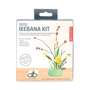 Kit Ikebana décoration florale