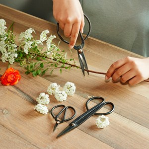 Set 3 ciseaux de jardinage