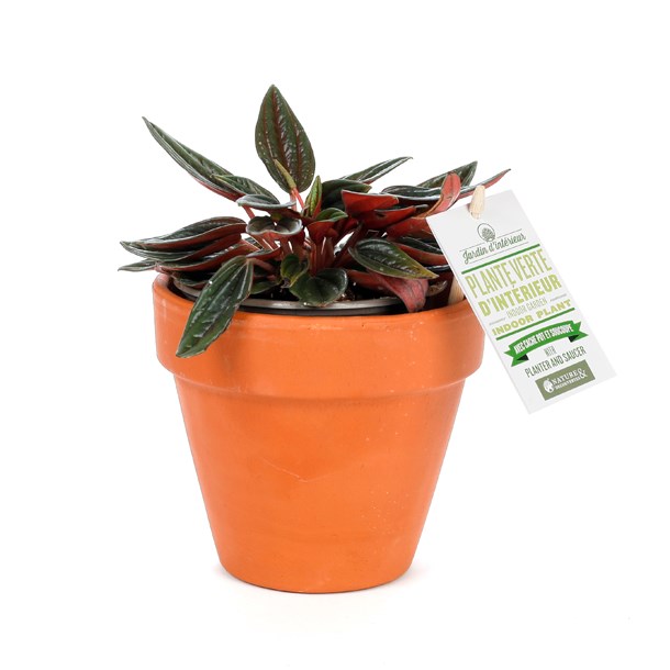 Hay - Cache-pot et soucoupe - Gris clair