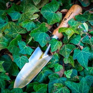Pelle graduée à main bois et acier