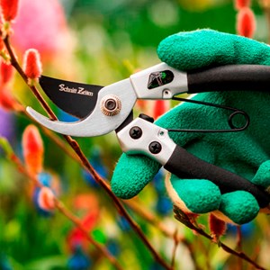 Sécateur acier inoxydable