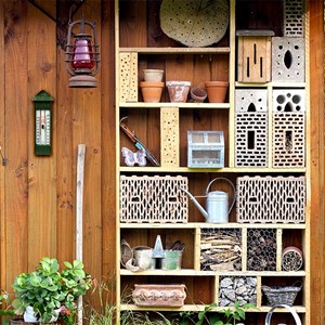 Thermomètre mini/maxi sans mercure