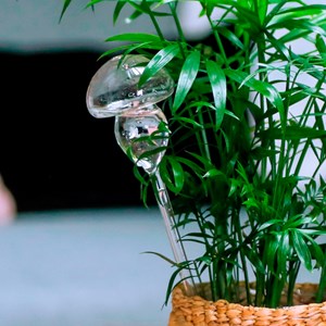 Champignon d'arrosage en verre