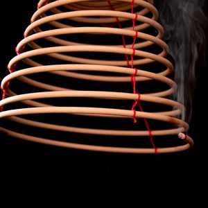 Spirale à la citronnelle