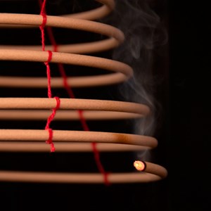 Spirale à la citronnelle