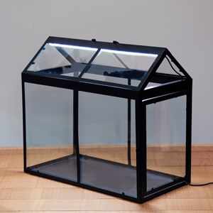 Grande serre avec éclairage LED