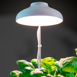 Lampe LED de culture pour plantes