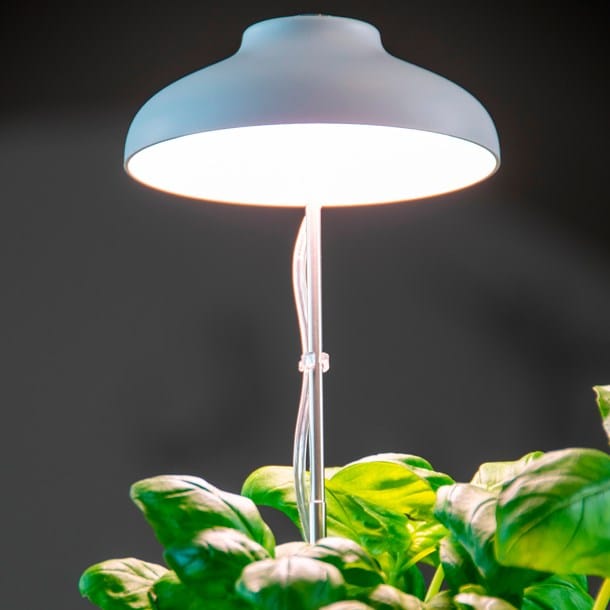 Lampe horticole LED : les 10 meilleures pour vos plantes