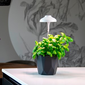 Lampe LED de culture pour plantes