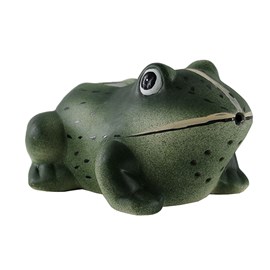 Grenouille sonore de bienvenue