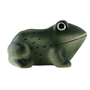 Grenouille sonore de bienvenue