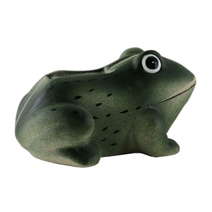 Grenouille sonore de bienvenue