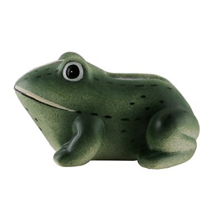 Grenouille sonore de bienvenue