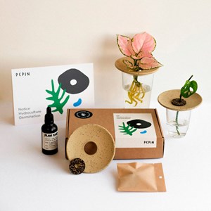 Coffret hydroculture et germination