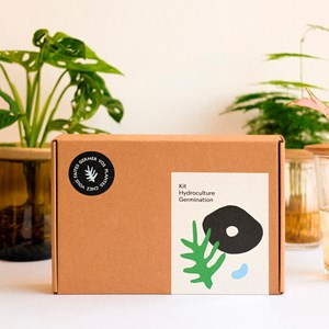 Coffret hydroculture et germination