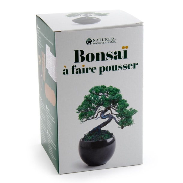 Easy Bonsai Kit - Plantes Kit de culture Bonzaï 4 graines