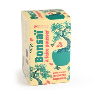 Kit bonsaï à faire pousser