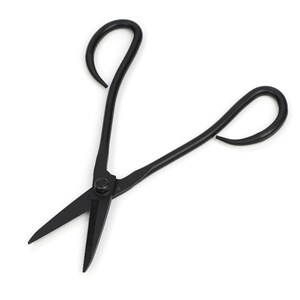 Ciseaux du jardinier