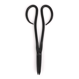 Ciseaux du jardinier