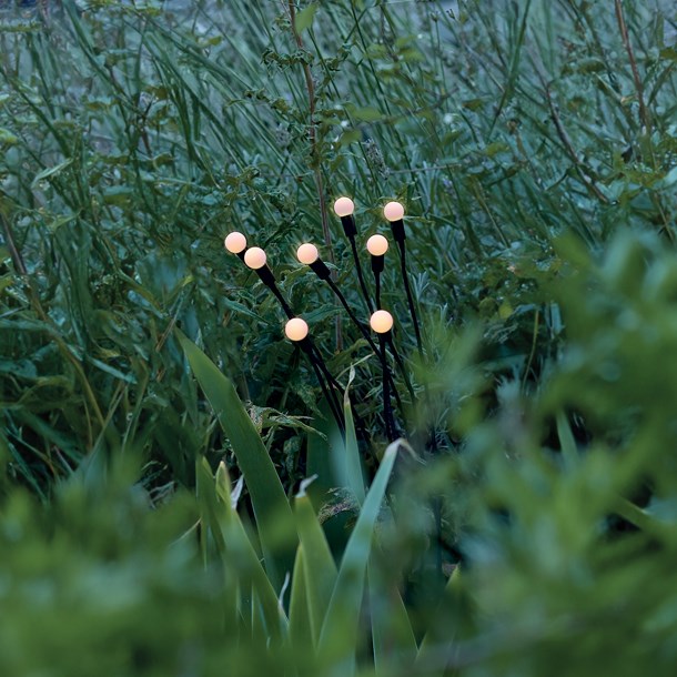 Nature & Découvertes - Bouquet solaire LED