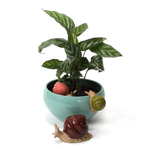 Figurine escargot à accrocher