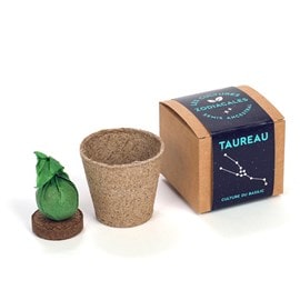 Les cultures zodiacales à faire pousser