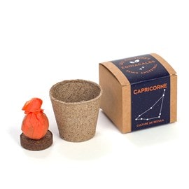 Les cultures zodiacales à faire pousser