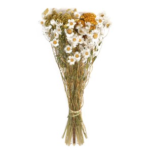 Petit bouquet fleurs séchées