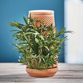 Tour de germination autonome