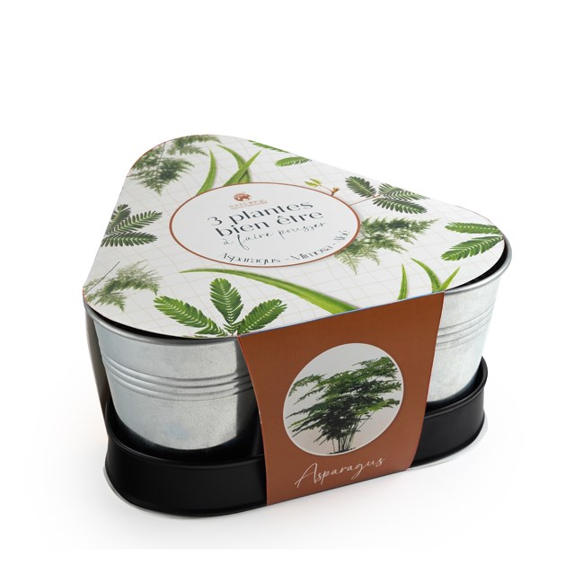 Nature & Découvertes - 3 plantes bien-être à faire pousser