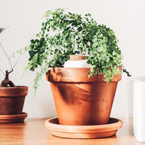 Olla en céramique Pépin blanc