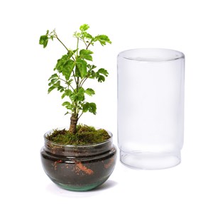 Grand terrarium Green Tower