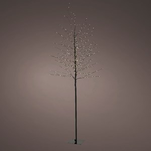 Grand arbre lumineux