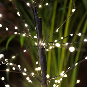 Grand arbre lumineux