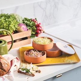 Germoir à graines en terre cuite