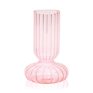 Vase et bulbe de jacinthe rose