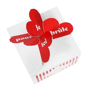 Mini pot de culture déclaration d'amour