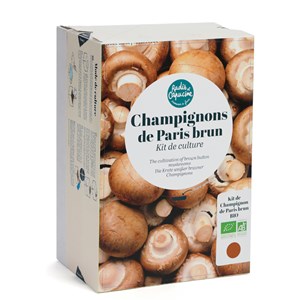 Champignons de Paris à faire pousser