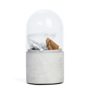 Terrarium à composer coquelicot