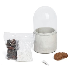 Terrarium à composer coquelicot