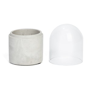 Terrarium à composer coquelicot