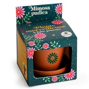 Kit de culture mimosa sensitif
