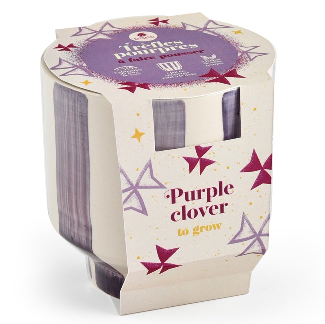 Trèfles pourpre à faire pousser