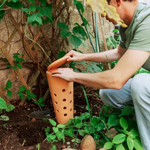 Lombricomposteur à planter