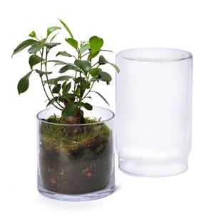 Grand terrarium Green Tower