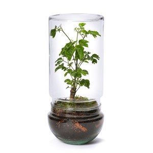 Grand terrarium Green Tower 