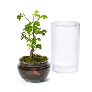 Grand terrarium Green Tower 